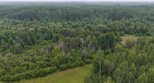 Photo for TBD Tangnes Forest Road, Roosevelt, MN 56673 - Listing #6695705 TBD Tangnes Forest Road, Roosevelt, MN 56673