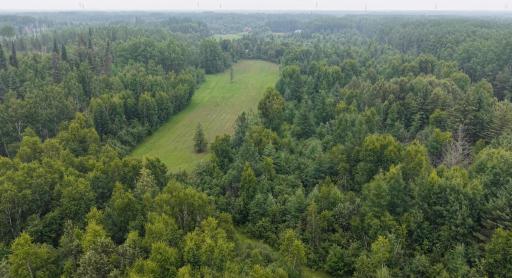 Photo for TBD Tangnes Forest Road, Roosevelt, MN 56673 - Listing #6695705 TBD Tangnes Forest Road, Roosevelt, MN 56673
