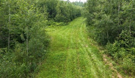 Photo for TBD Tangnes Forest Road, Roosevelt, MN 56673 - Listing #6695705 TBD Tangnes Forest Road, Roosevelt, MN 56673