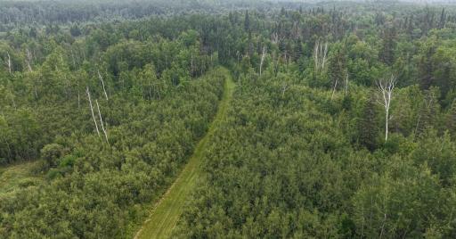 Photo for TBD Tangnes Forest Road, Roosevelt, MN 56673 - Listing #6695705 TBD Tangnes Forest Road, Roosevelt, MN 56673