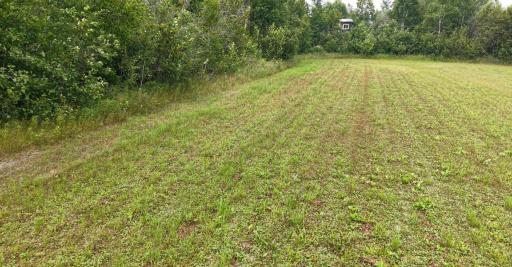 Photo for TBD Tangnes Forest Road, Roosevelt, MN 56673 - Listing #6695705 TBD Tangnes Forest Road, Roosevelt, MN 56673