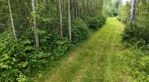Photo for TBD Tangnes Forest Road, Roosevelt, MN 56673 - Listing #6695705 TBD Tangnes Forest Road, Roosevelt, MN 56673