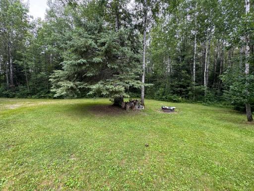 Photo for TBD Tangnes Forest Road, Roosevelt, MN 56673 - Listing #6695705 TBD Tangnes Forest Road, Roosevelt, MN 56673