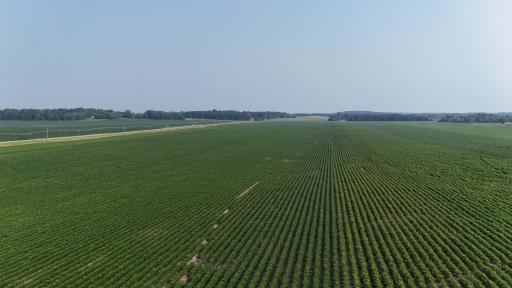 TBD County 61, Browerville, MN 56438