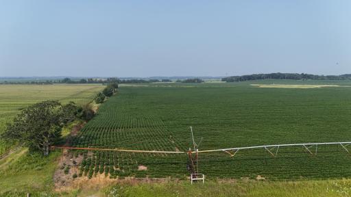 TBD County 61, Browerville, MN 56438