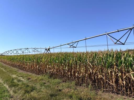 TBD County 61, Browerville, MN 56438