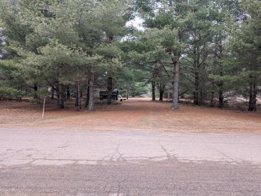 29188 297th Avenue, Holcombe, WI 54745