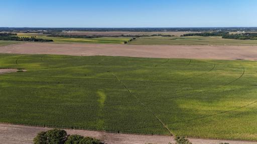 0000 County 61, Browerville, MN 56438