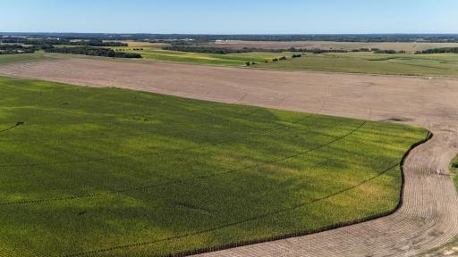 0000 County 61, Browerville, MN 56438