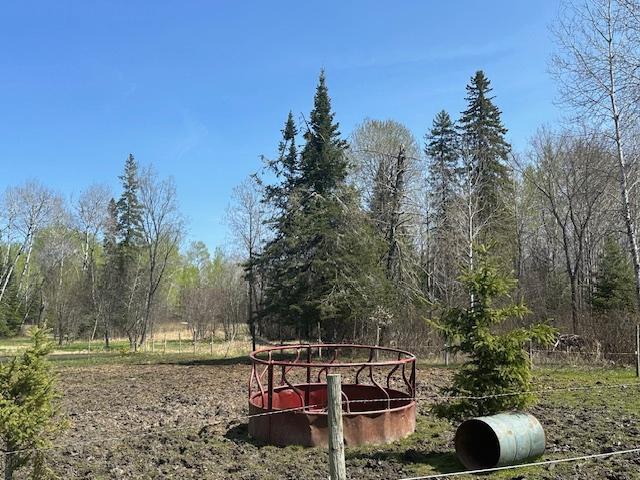 IMG_2644.jpg
