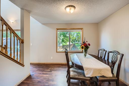 1003 Sibley Street, Hastings, MN 55033