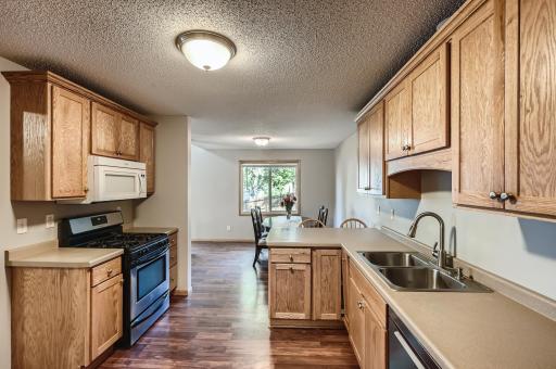 1003 Sibley Street, Hastings, MN 55033