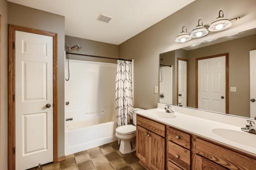 1003 Sibley Street, Hastings, MN 55033