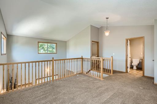 1003 Sibley Street, Hastings, MN 55033