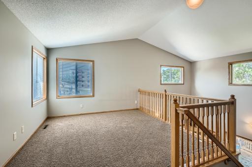 1003 Sibley Street, Hastings, MN 55033