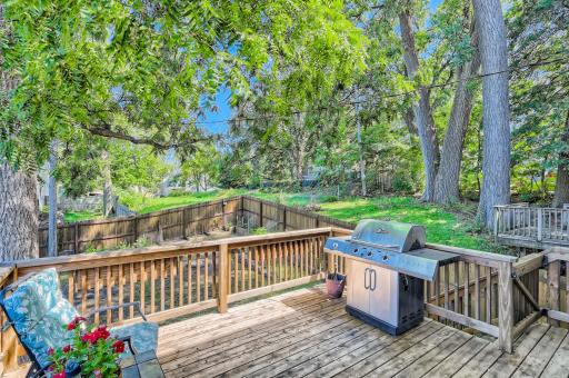 1003 Sibley Street, Hastings, MN 55033