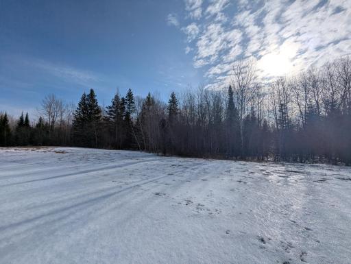 Photo for Town Road 6, Northome, MN 56661 - Listing #6695985 Town Road 6, Northome, MN 56661