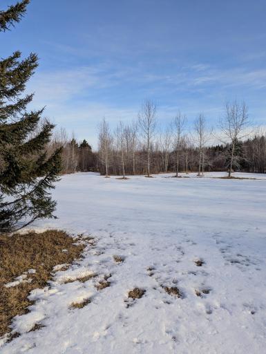 Photo for Town Road 6, Northome, MN 56661 - Listing #6695985 Town Road 6, Northome, MN 56661