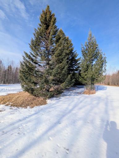 Photo for Town Road 6, Northome, MN 56661 - Listing #6695985 Town Road 6, Northome, MN 56661