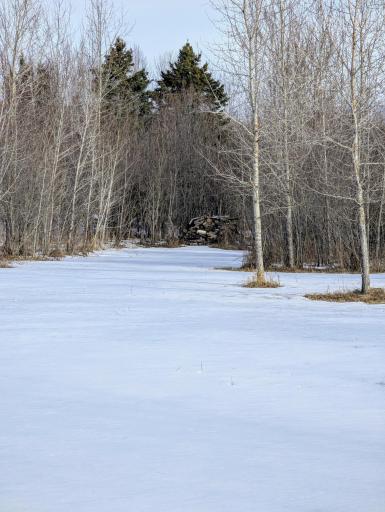 Photo for Town Road 6, Northome, MN 56661 - Listing #6695985 Town Road 6, Northome, MN 56661