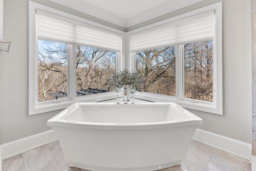 10072 Gristmill Ridge, Eden Prairie, MN 55347