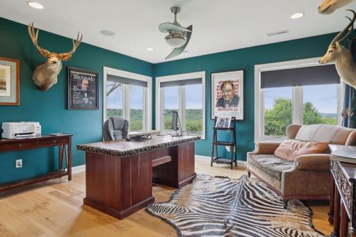 Lower level third bedroom could double as an office