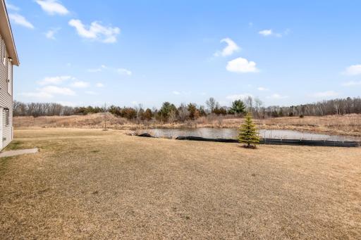 309 Bruce Larson Way, Somerset, WI 54025