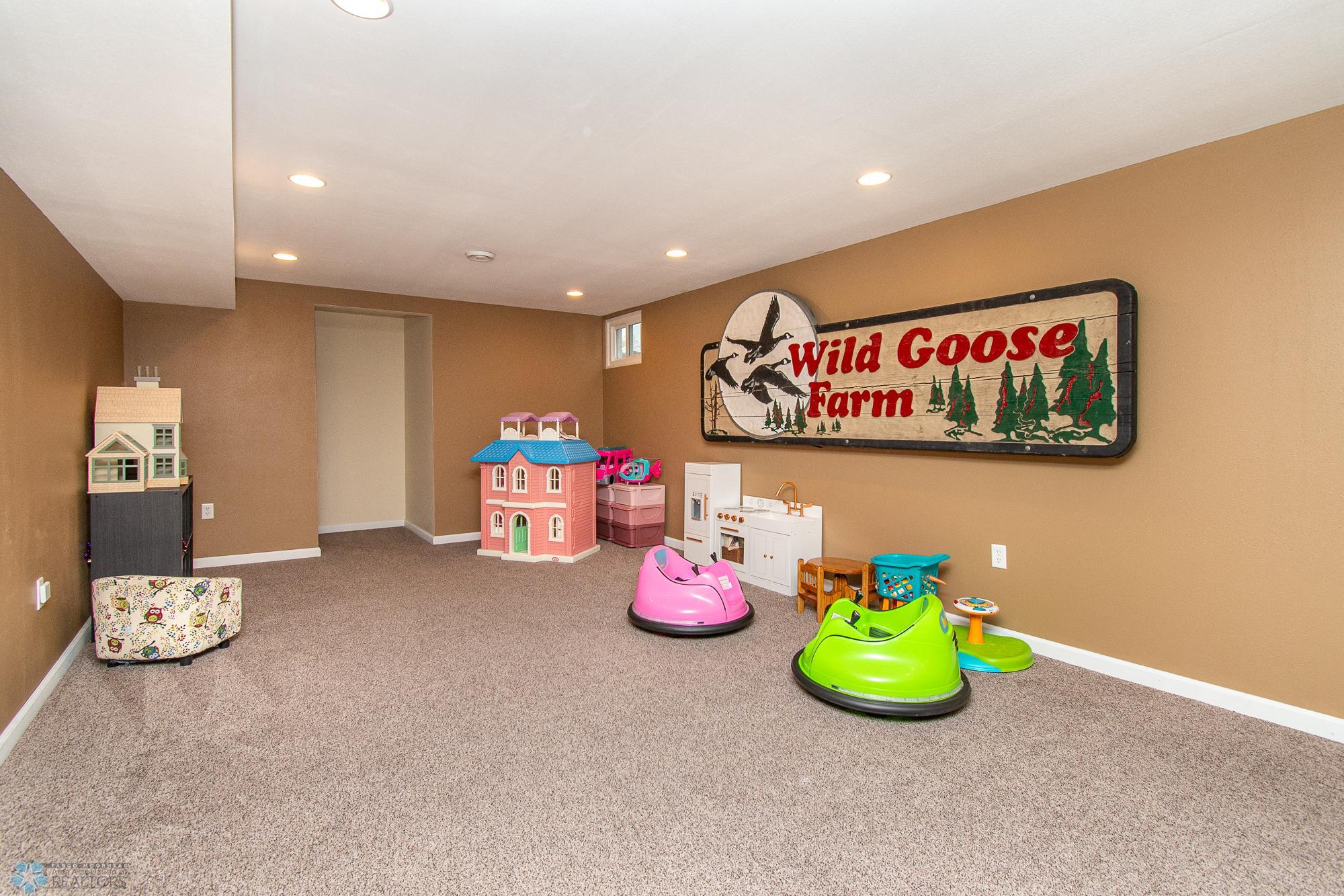 Basement Family Room