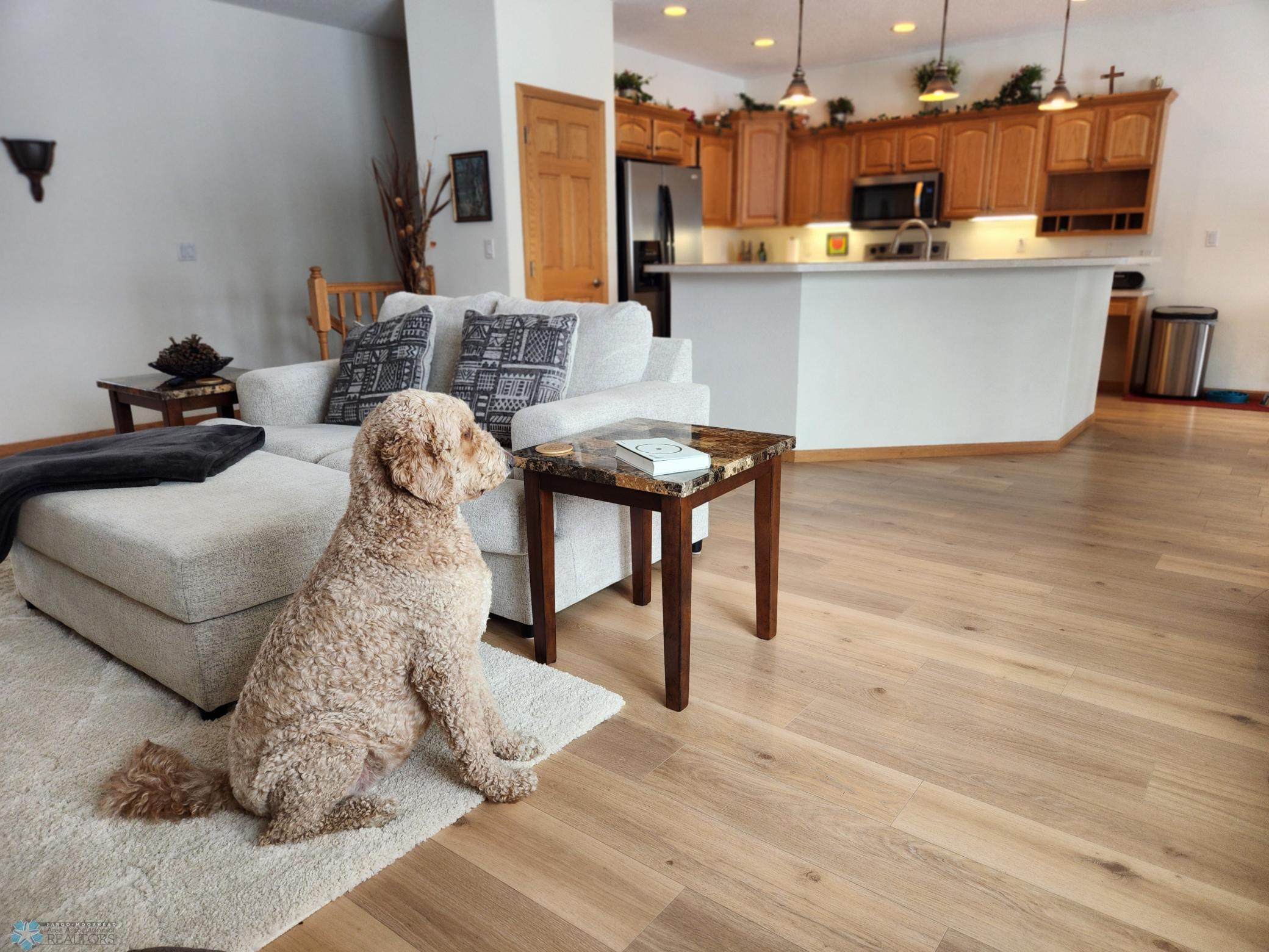 Cute Non shedding Doggie not included