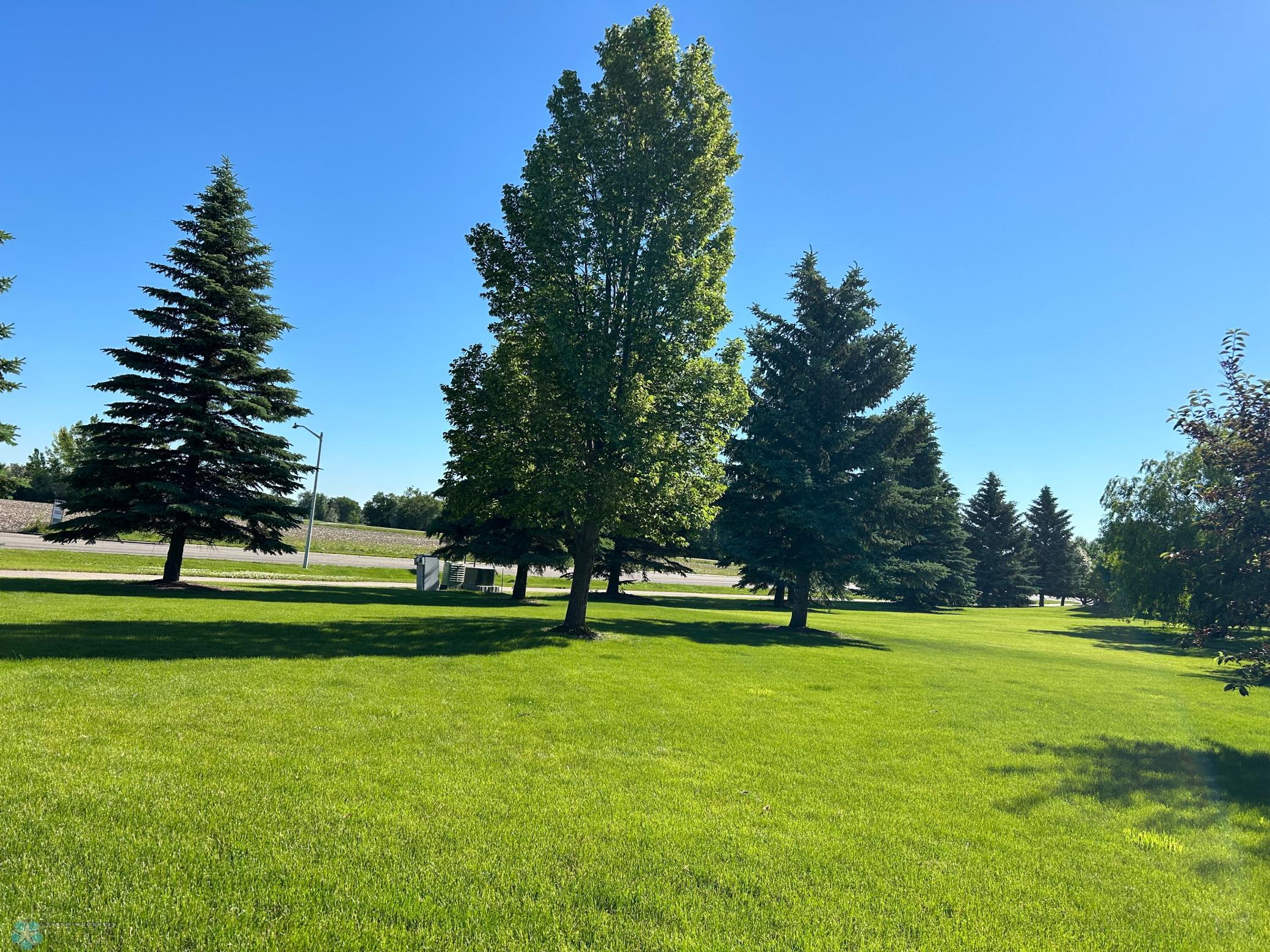 established trees