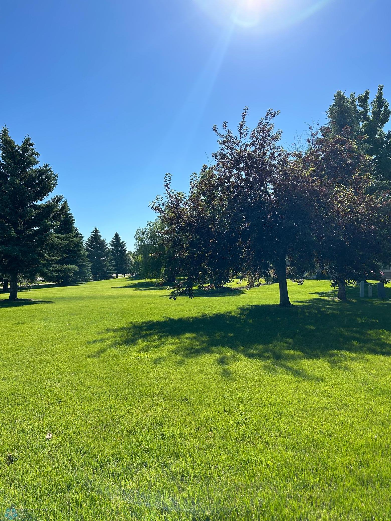 established trees