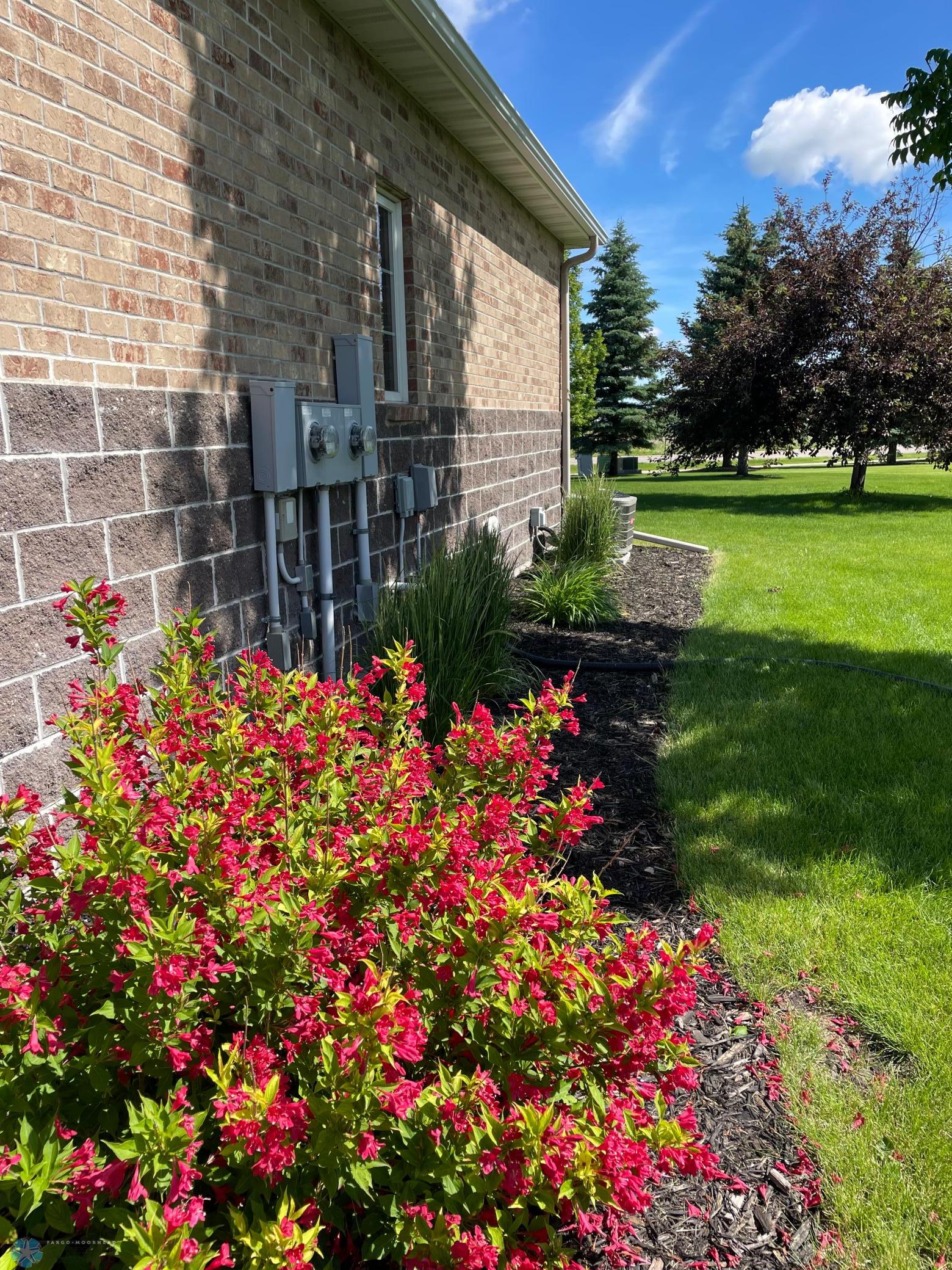 established landscaping