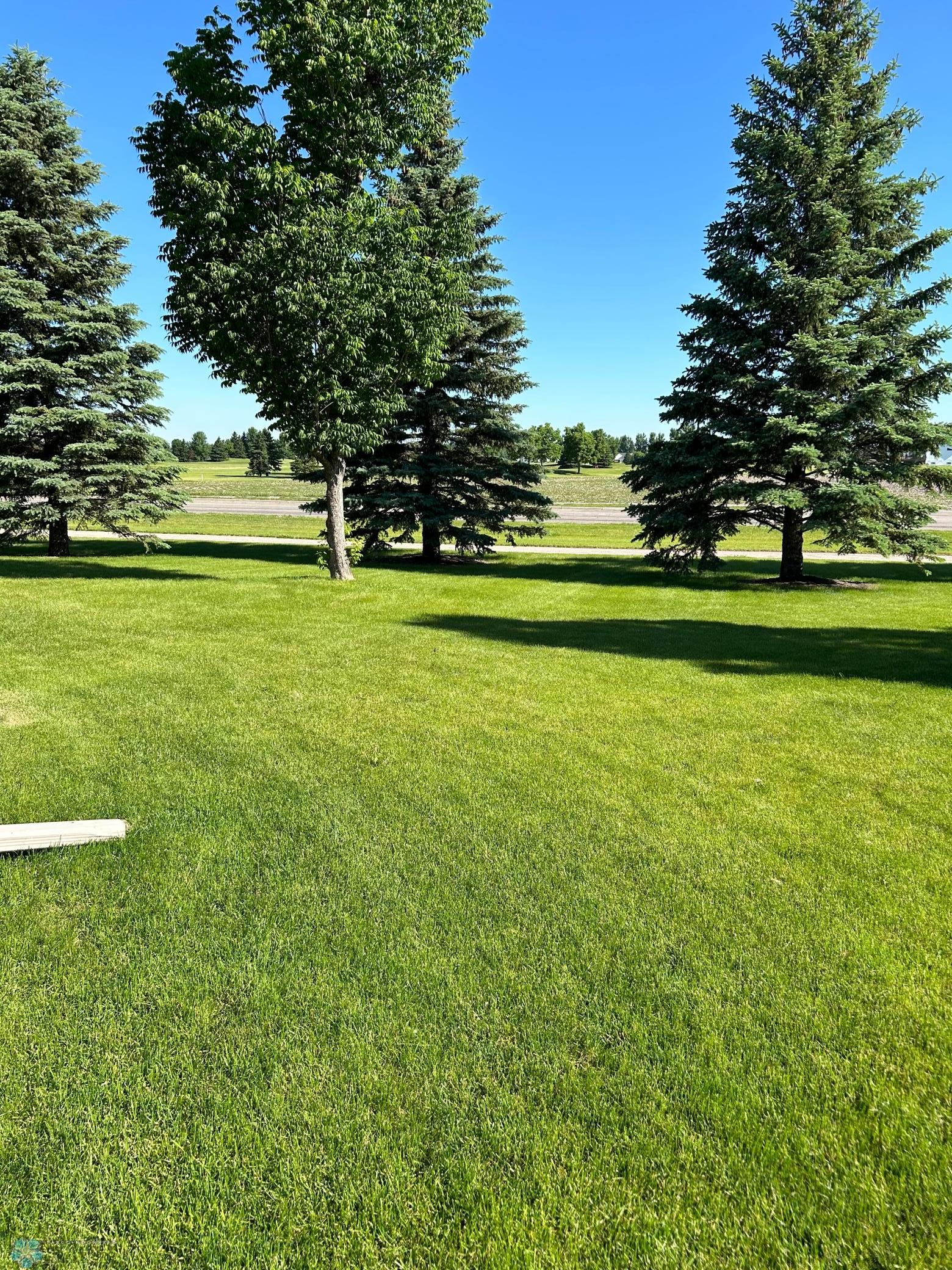 established trees
