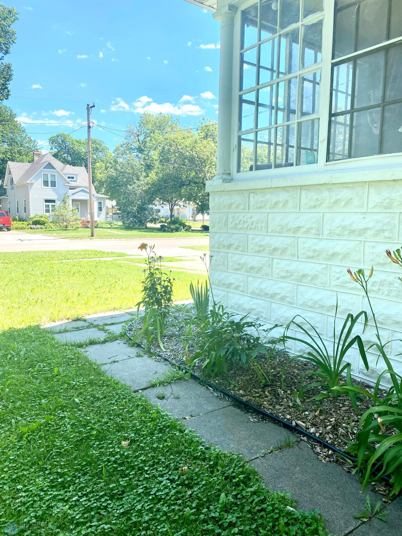 flowers and front yard