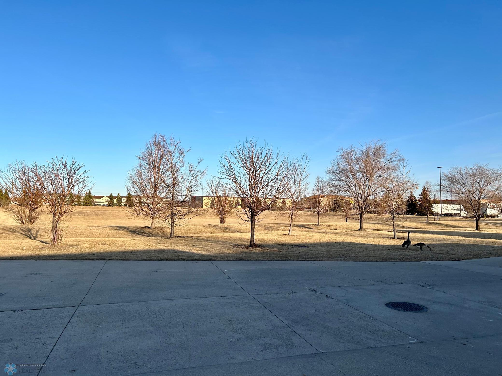 city green space