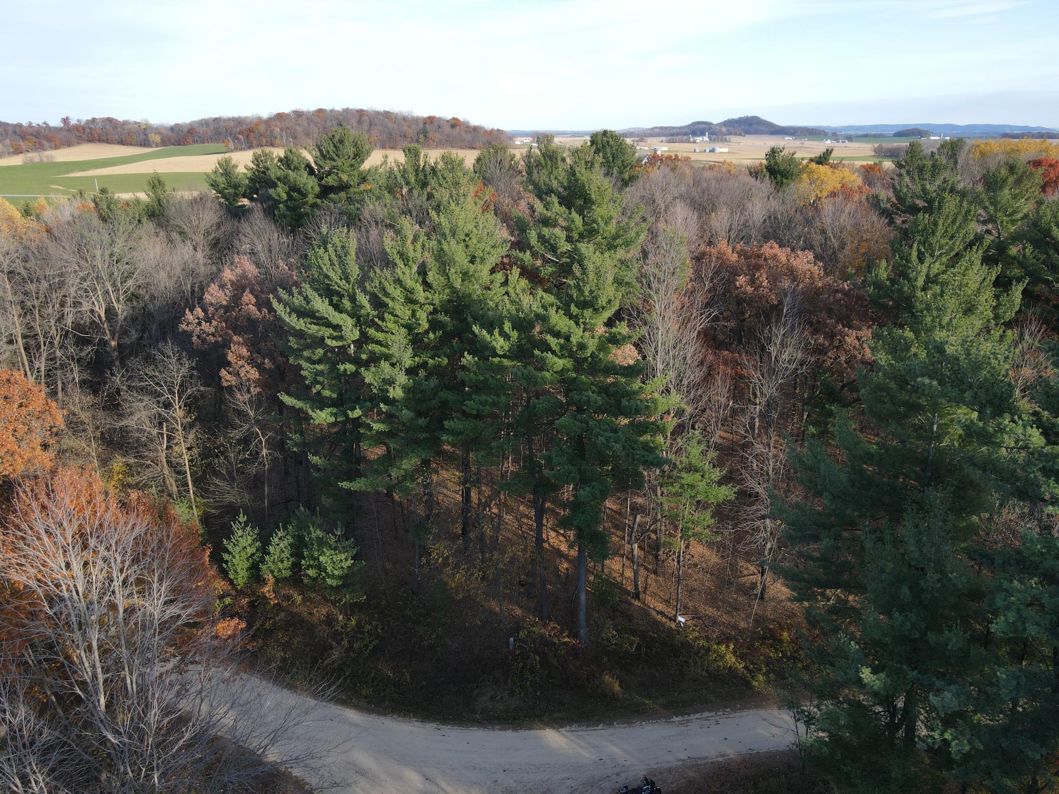 Majestic Woods Development