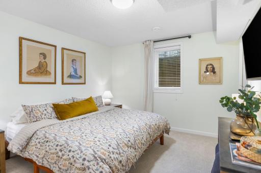 Basement 5th Bedroom