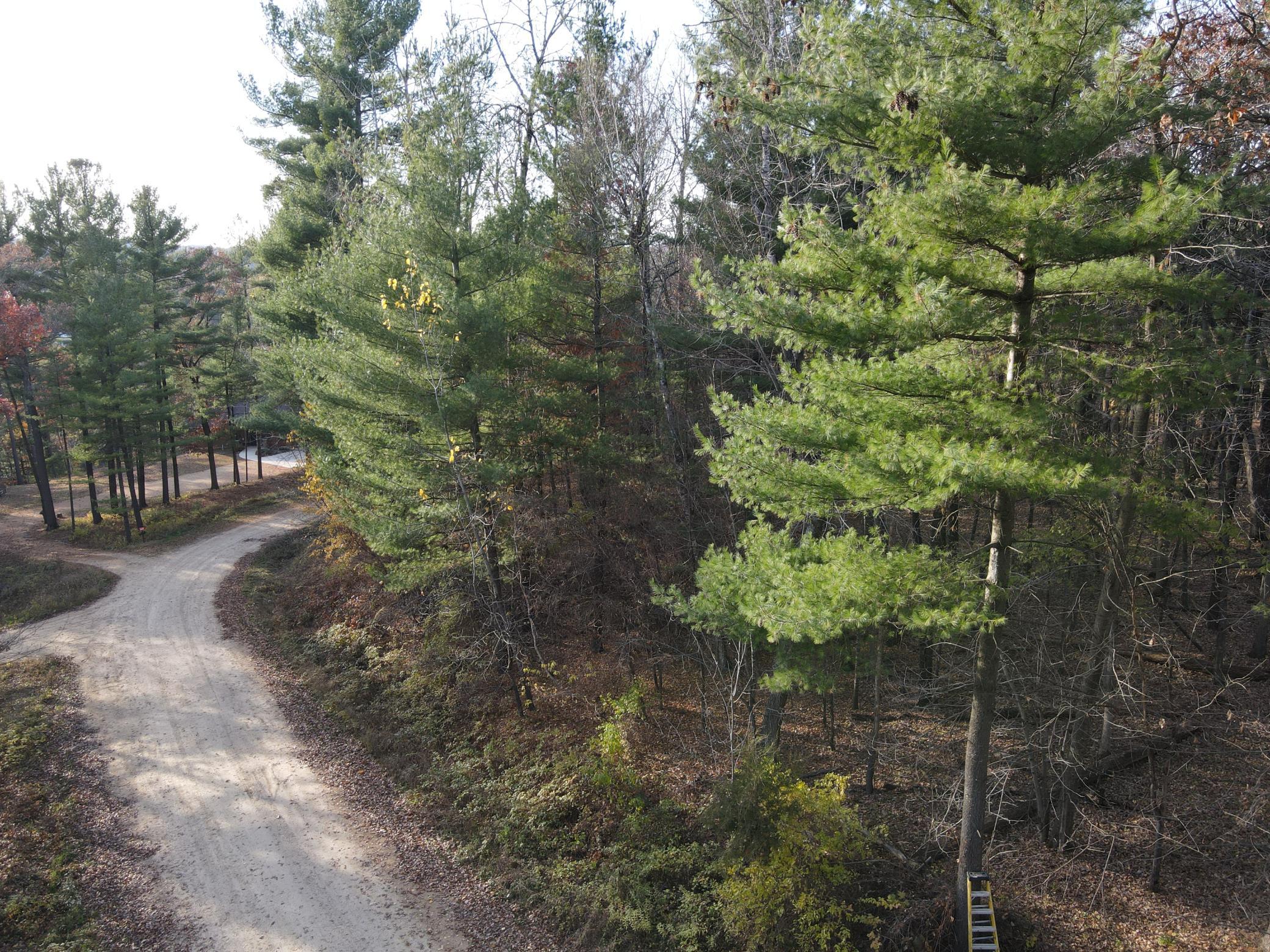Road view of the lot