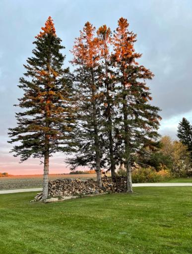 Photo for 38272 300th Street, Roseau, MN 56751 - Listing #6697123 38272 300th Street, Roseau, MN 56751