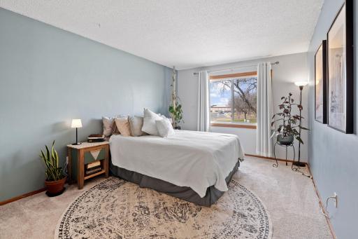 Oversized primary bedroom with walk-in closet and separate vanity
