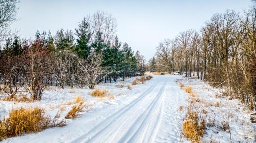 Photo for TBD 142nd Avenue NE, Thief River Falls, MN 56701 - Listing #6697455 TBD 142nd Avenue NE, Thief River Falls, MN 56701