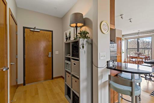 15 E Franklin Ave #225 Minneapolis MN_0023.jpg