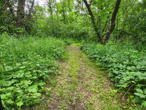 99 Crosstown Boulevard NE, Andover, MN 55304