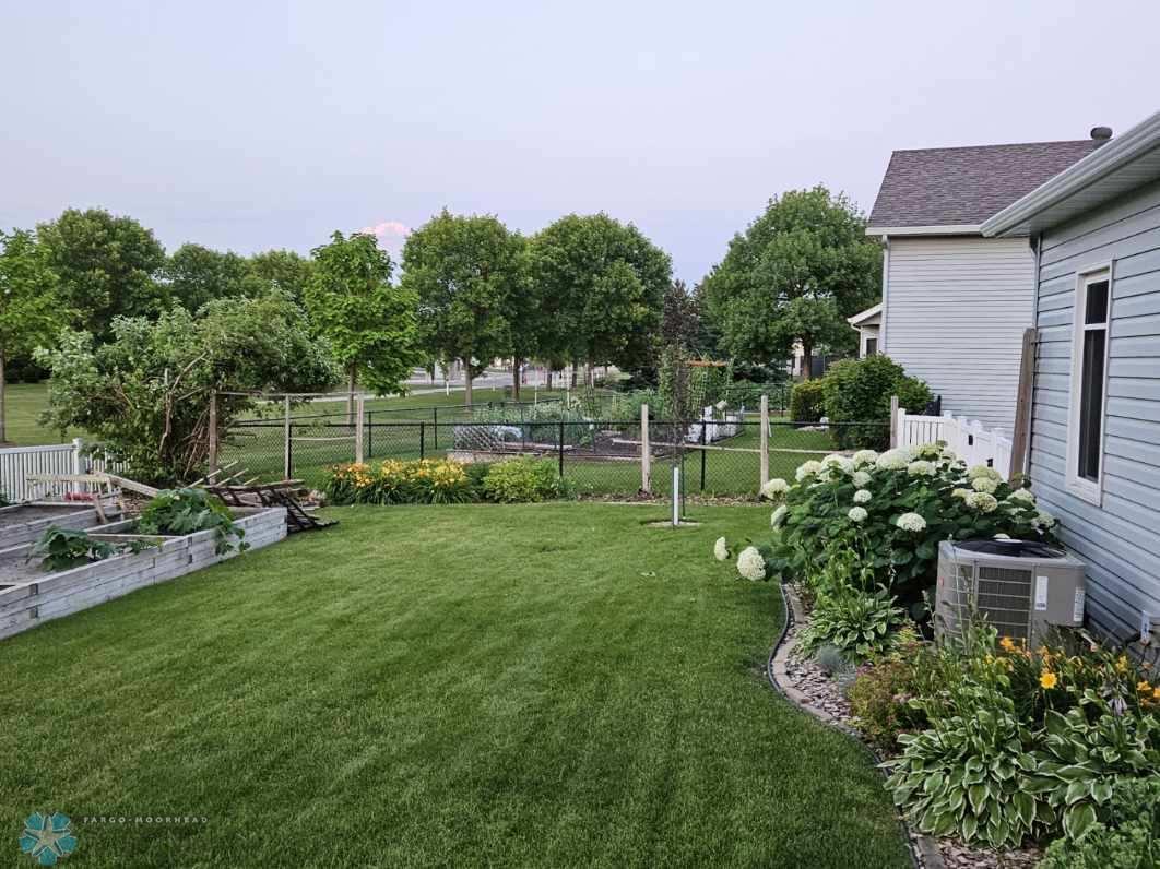 Backyard Oasis