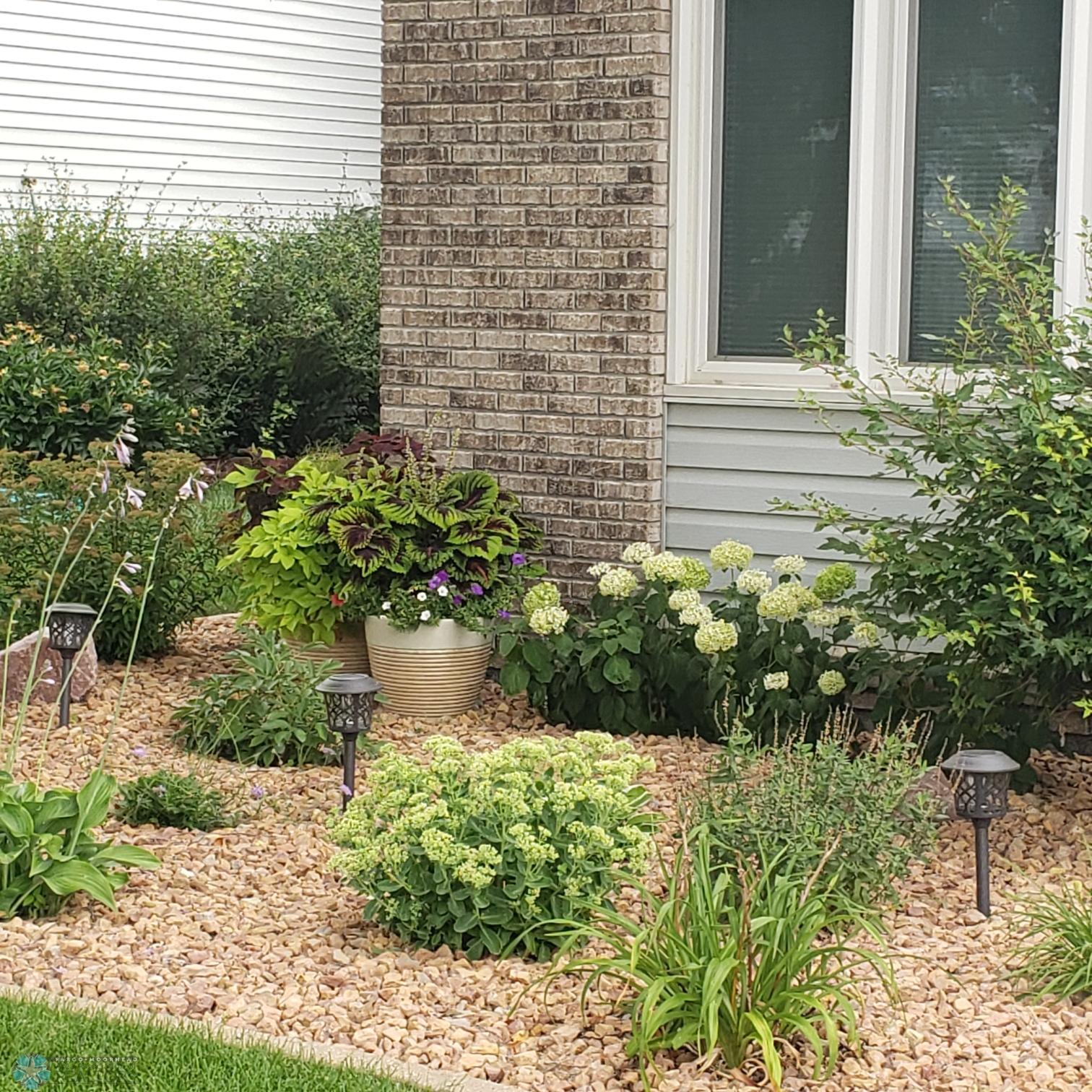 Beautiful Landscaped Front Yard