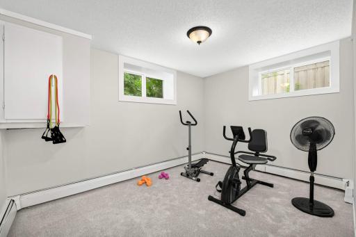 Lower level exercise room with new carpeting.