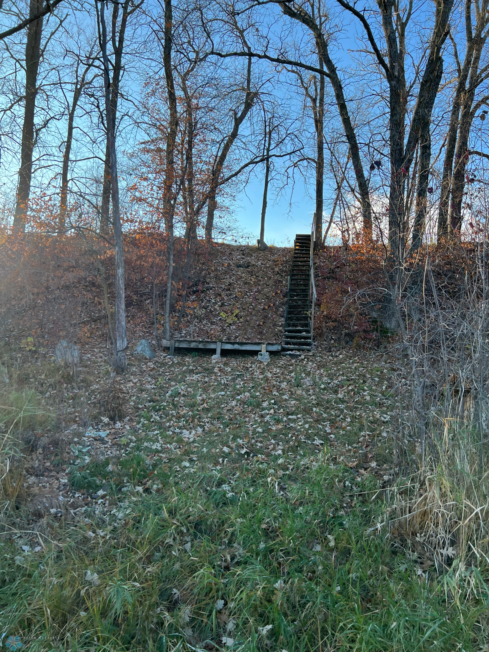 IMG_5273.PNG