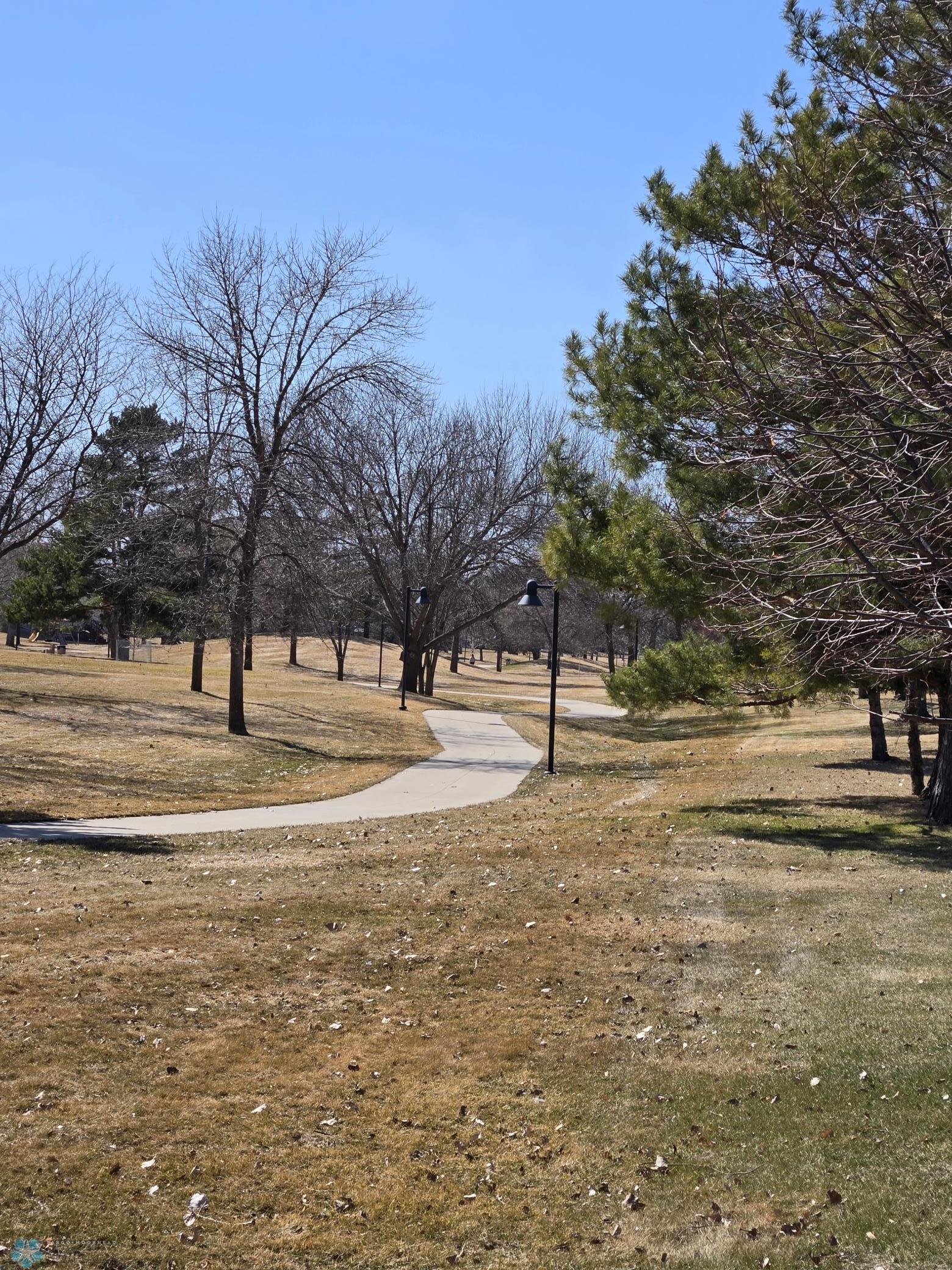Walking Path from Backyard.jpg