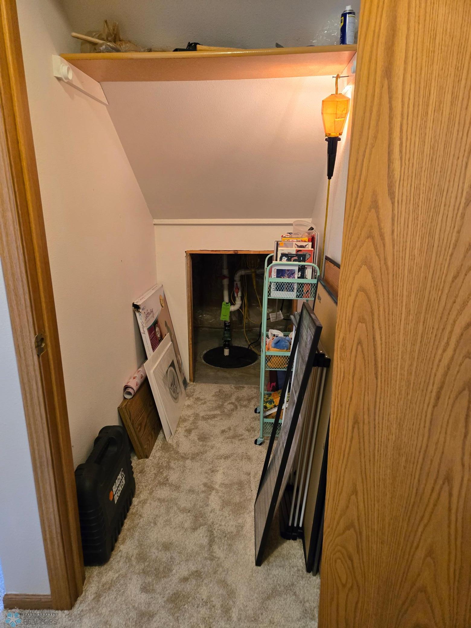 Under Stairs Closet and Sump Pump.jpg
