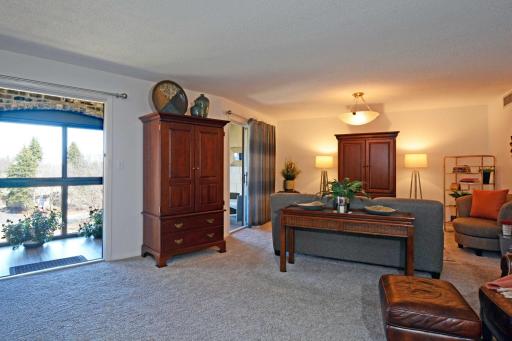 1860 Eagle Ridge Drive, W309, Mendota Heights, MN 55118